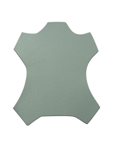 Piel Original Automoción